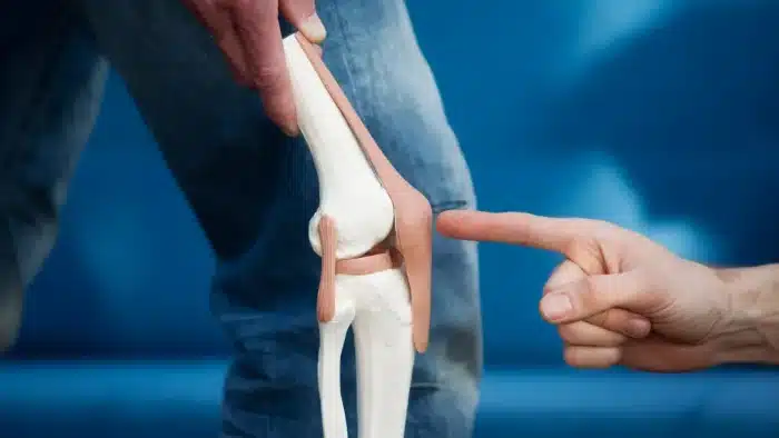 A person pointing at a model of a knee joint with the skin, ligaments, and bones visible. The model is being held by another person against a blue background.