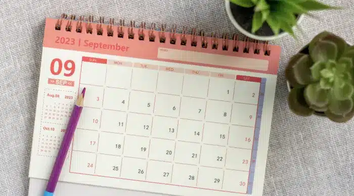 A calendar for September 2023 is open on a fabric surface. The month is displayed in a spiral-bound format with days organized in a grid. A pink pen rests on the calendar, and a green potted succulent is partially visible in the top-right corner.