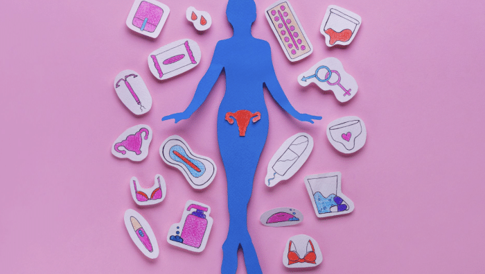 Illustration of a blue silhouette of a female figure on a pink background, surrounded by various icons representing female reproductive health and hygiene, including menstrual products, contraceptives, bras, and reproductive organs.