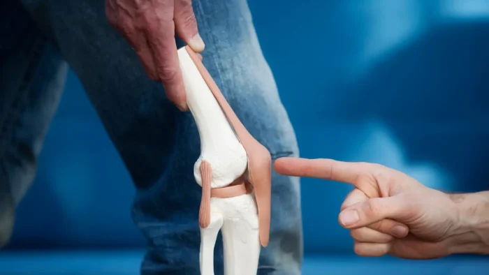 Synvisc Prescribing Information Information for Professionals