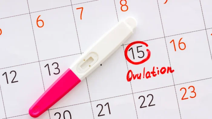 An ovulation test stick with a pink cap lies on a calendar. The 15th day is circled in red and labeled "Ovulation" in red handwriting. Numbers on the calendar are in orange.
